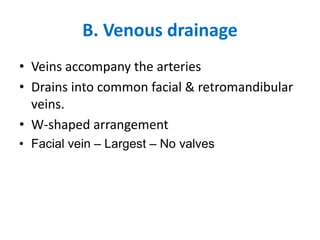 B. Venous drainage
• Veins accompany the arteries
• Drains into common facial & retromandibular
veins.
• W-shaped arrangement
• Facial vein – Largest – No valves
 