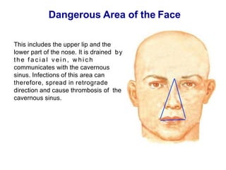 Dangerous Area of the Face
This includes the upper lip and the
lower part of the nose. It is drained by
the f a c i a l v e i n , w h i c h
communicates with the cavernous
sinus. Infections of this area can
therefore, spread in retrograde
direction and cause thrombosis of the
cavernous sinus.
 
