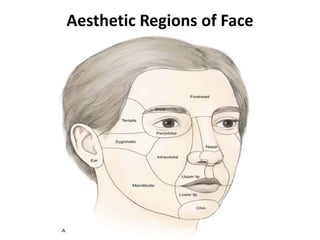 Aesthetic Regions of Face
 
