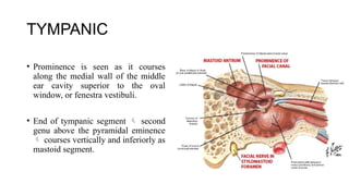 ANATOMY OF FACIAL NERVE PGIMERCHD PPT.pptx