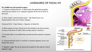 ANATOMY OF FACIAL NERVE 7th cranial nerve.pptx