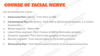 Comprehensive Anatomy and Functional Overview of the Facial Nerve (7th ...