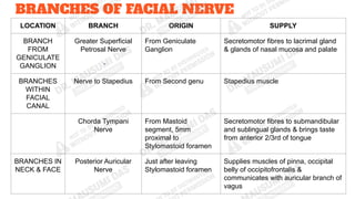 Comprehensive Anatomy and Functional Overview of the Facial Nerve (7th ...