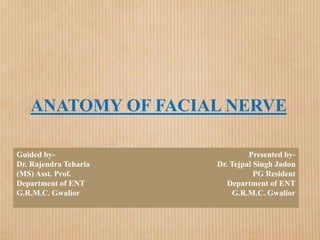 anatomy of facial nerve by tejpl singh.pptx