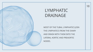 10
LYMPHATIC
DRAINAGE
MOST OF THE TUBAL LYMPHATICS JOIN
THE LYMPHATICS FROM THE OVARY
AND DRAIN WITH THEM INTO THE
LATERAL AORTIC AND PREAORTIC
NODES.
 