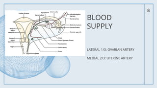 BLOOD
SUPPLY
LATERAL 1/3: OVARIAN ARTERY
MEDIAL 2/3: UTERINE ARTERY
8
 