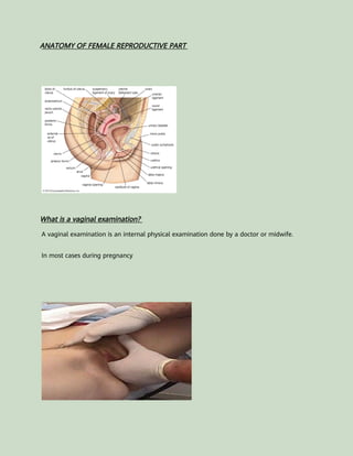 ANATOMY OF FEMALE REPRODUCTIVE PART
What is a vaginal examination?
A vaginal examination is an internal physical examination done by a doctor or midwife.
In most cases during pregnancy
 