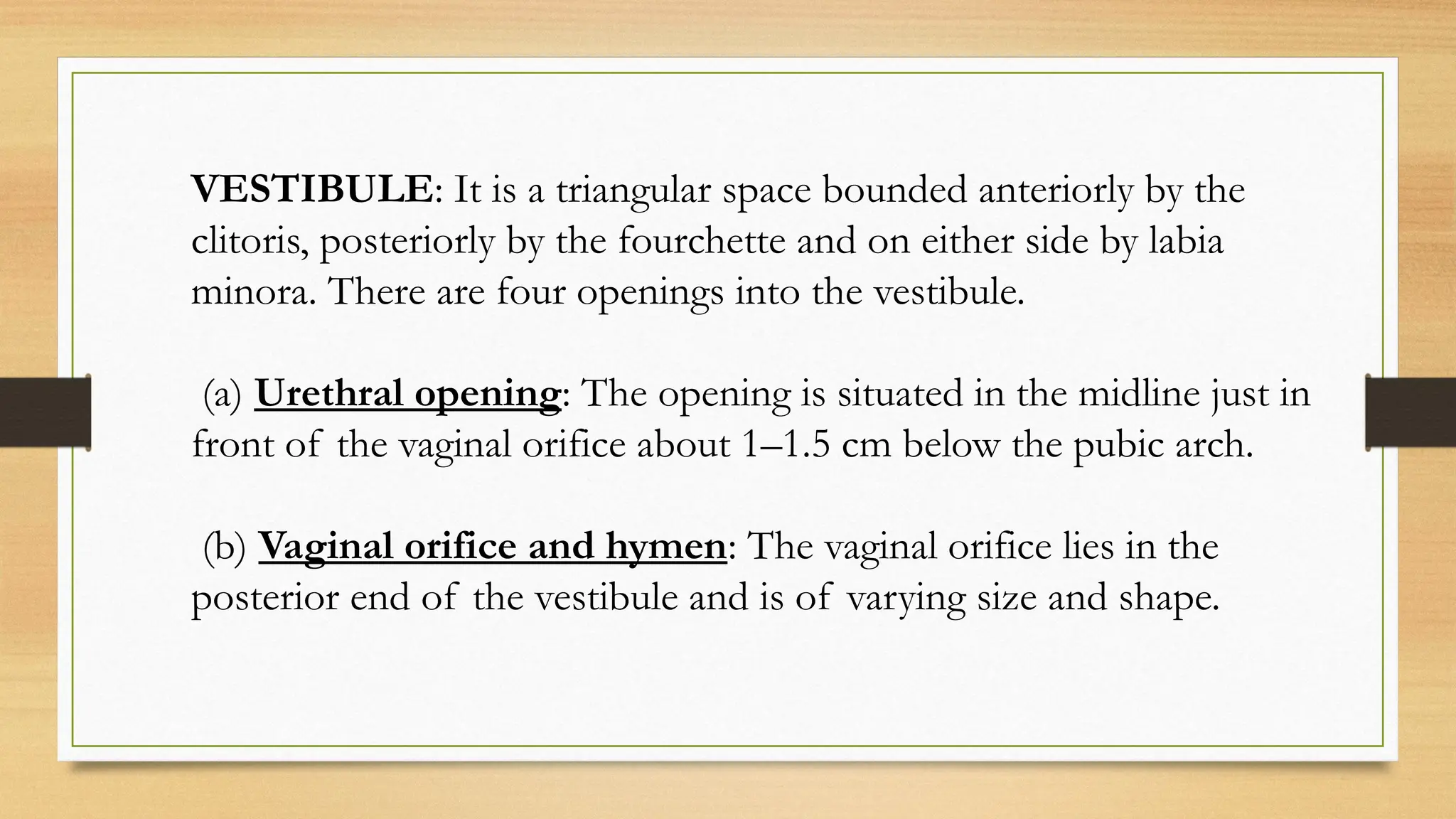 ANATOMY OF FEMALE GENITAL ORGANS ppt of final year | PPTX