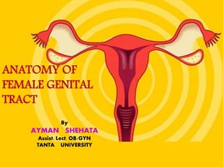 ANATOMY OF
FEMALE GENITAL
TRACT
By
AYMAN SHEHATA
Assist. Lect. OB/GYN
TANTA UNIVERSITY
 