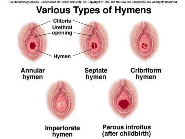 Male Reproductive