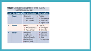 ANATOMY OF FEMALE GENITAL TRACT - OBSTETRICS | PPTX