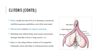 Comprehensive Anatomy of Female Reproductive Organs and Clinical ...