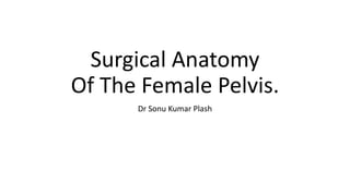 Surgical Anatomy
Of The Female Pelvis.
Dr Sonu Kumar Plash
 