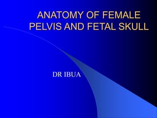 ANATOMY OF FEMALE
PELVIS AND FETAL SKULL
DR IBUA
 