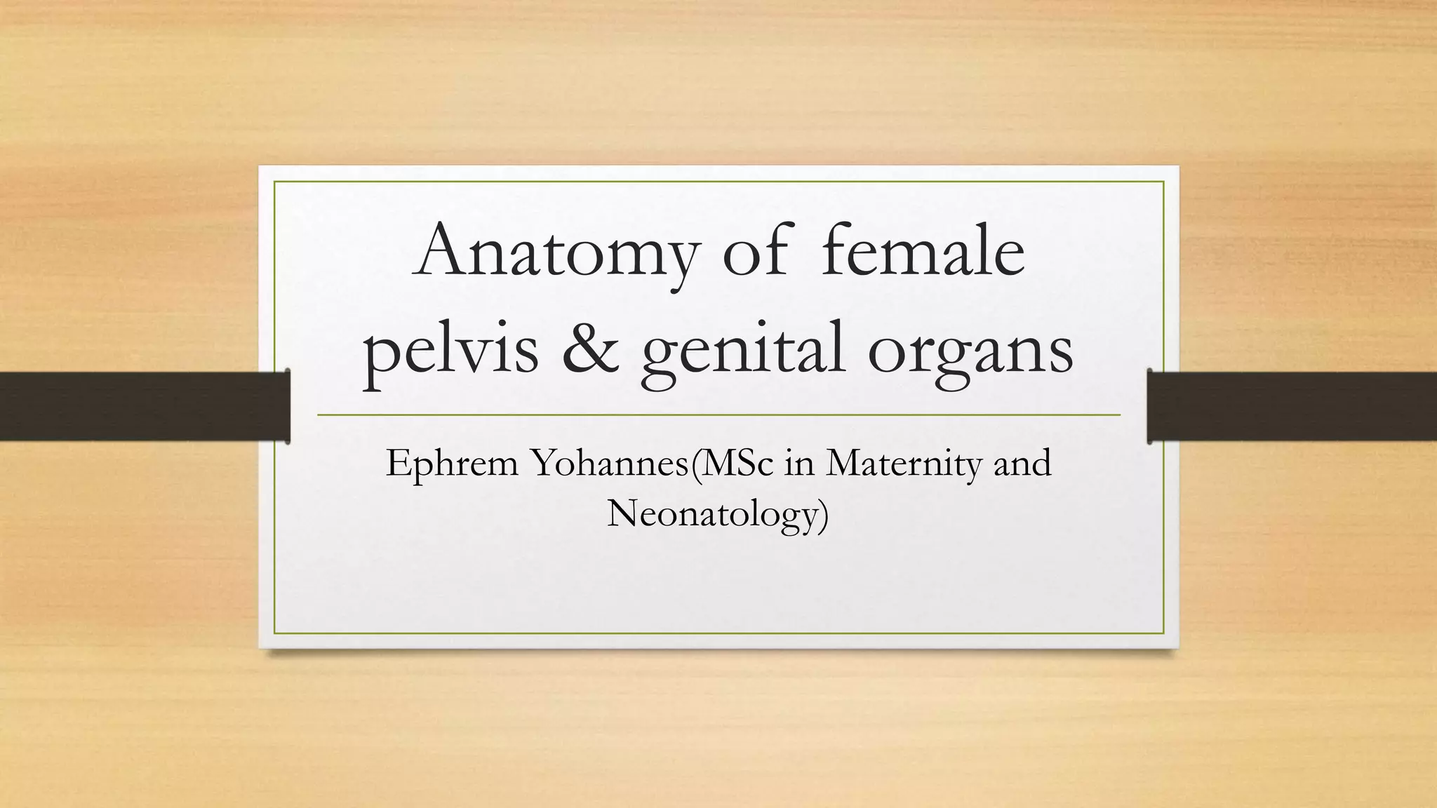 Anatomy of female pelvis & genital organs | PPTX