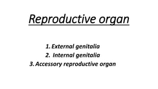 Reproductive organ
1.External genitalia
2. Internal genitalia
3.Accessory reproductive organ
 