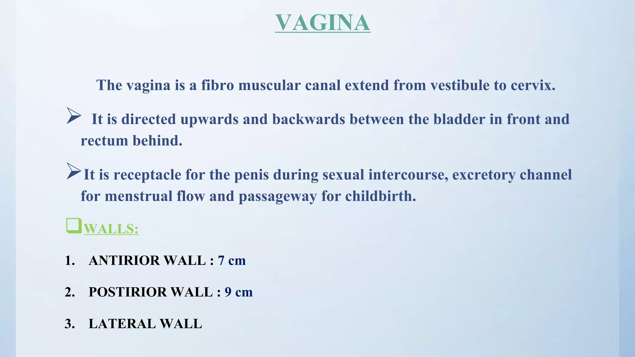 Anatomy Of Female Reproductive Organs PPTX anatomy-of-female-reproductive-organs-pptx
