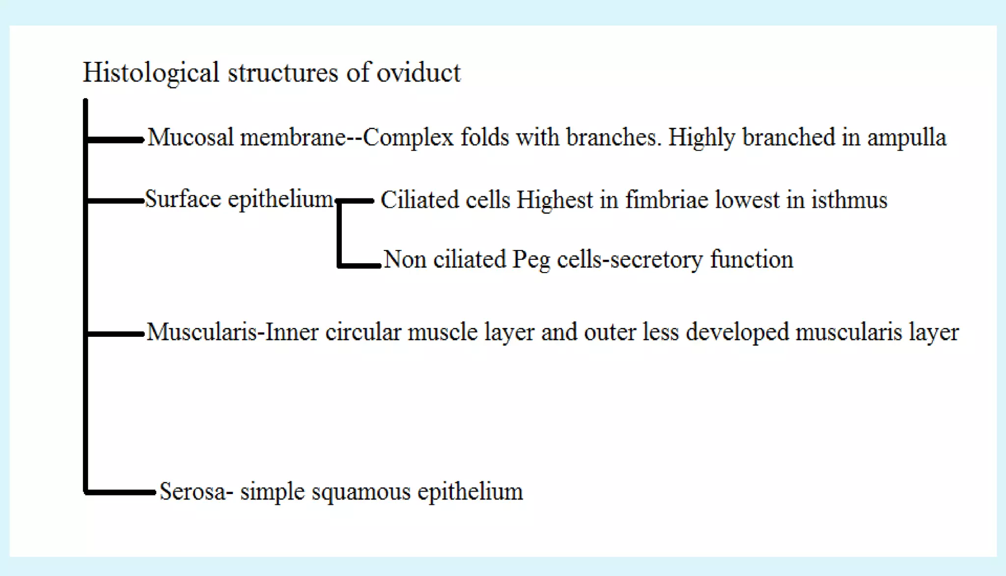 Anatomy of female reproductive organs in domestic animals | PPT
