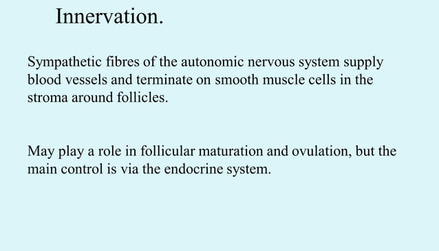 Anatomy of female reproductive organs in domestic animals | PPT