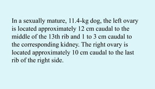 In a sexually mature, 11.4-kg dog, the left ovary
is located approximately 12 cm caudal to the
middle of the 13th rib and 1 to 3 cm caudal to
the corresponding kidney. The right ovary is
located approximately 10 cm caudal to the last
rib of the right side.
 