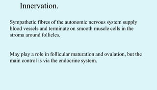 Innervation.
Sympathetic fibres of the autonomic nervous system supply
blood vessels and terminate on smooth muscle cells in the
stroma around follicles.
May play a role in follicular maturation and ovulation, but the
main control is via the endocrine system.
 