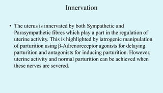 Innervation
• The uterus is innervated by both Sympathetic and
Parasympathetic fibres which play a part in the regulation of
uterine activity. This is highlighted by iatrogenic manipulation
of parturition using β-Adrenoreceptor agonists for delaying
parturition and antagonists for inducing parturition. However,
uterine activity and normal parturition can be achieved when
these nerves are severed.
 