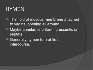 Hymen In Female ANATOMY OF FEMALE REPRODUCTIVE TRACT.pptx