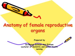 Anatomy of female reproductive
organs
Prepared by
Dr/Rehab Soliman Abd ElAliem
Lecturer of obstetric and women health
nursing
 