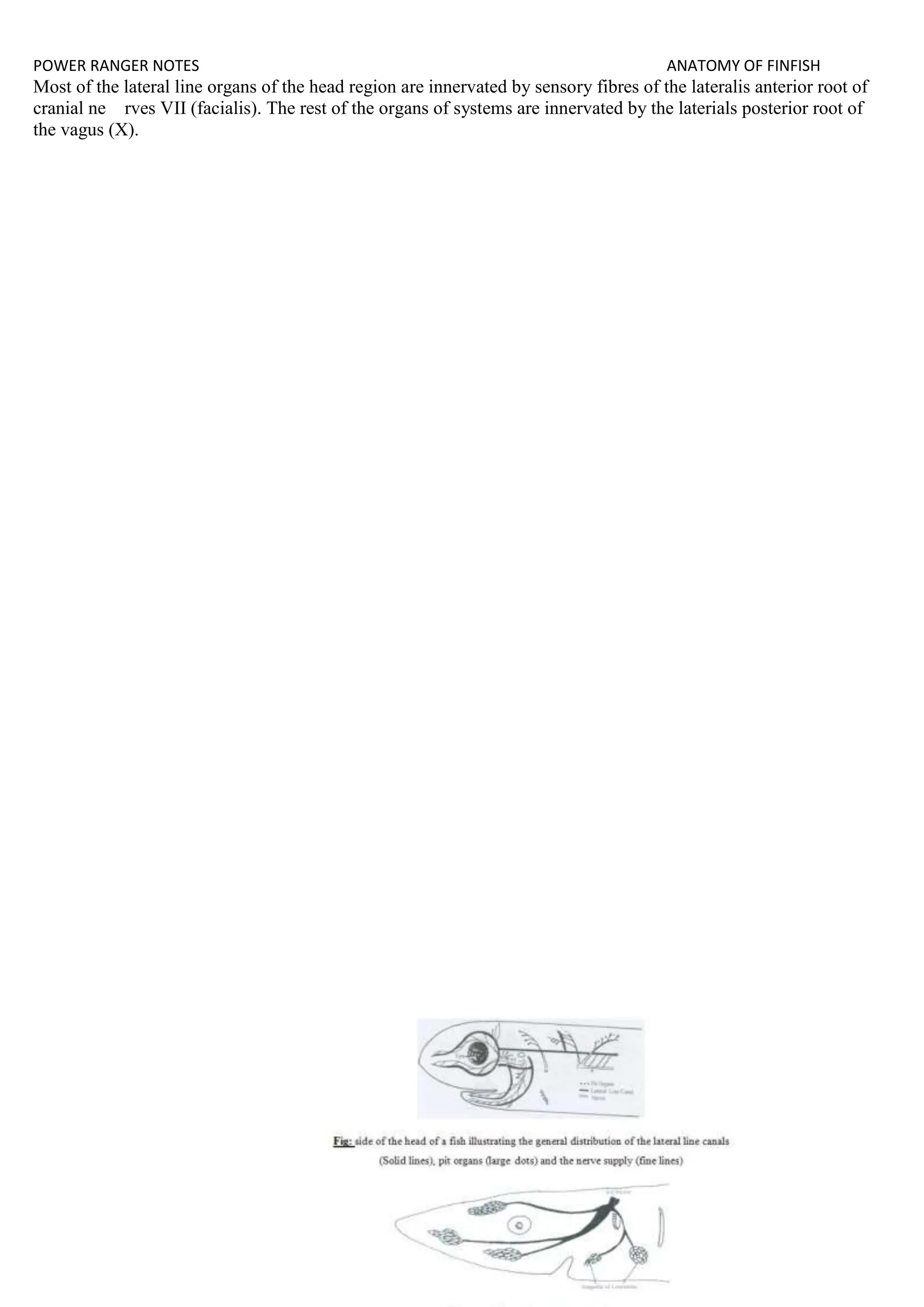 anatomy of finfish ecourse fisheries.docx