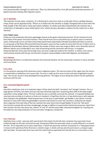 POWER RANGER NOTES ANATOMY OF FINFISH
10
most pronouncedly (strongly) in carnivores. They are characterized by a low pH and the prominent presence of
pepsin (enzyme) among other digestive juices.
4.1.3. Intestine
The intestine too has many variations. It is shortened in carnivores such as in the pike (Erox), perhaps because
meaty foods can be digested easily. Where as in herbivores the intestine is highly elongated and several times the
body length of the fish and in carps and certain catfishes. In sharks and other elasmobrachs the intestine has a
coiled layer of absorptive tissue called spiral valve which increase absorptive surfaces for the relatively in short
intestine.
4.1.4. Pyloric caeca
(Fishes are only vertebrates that have appendages (Caeca) at the gastro-intestinal junctions). On the intestine of most
bony fishes at the pyloric end of the stomach. There may be from one to many blind sacs or pylonic caeca or intestinal
caeca. A few groups such as cat fishes (Ictaluridae) topminnows (Cyprinidae) and pikes (Esocidae) lack these structures.
In such groups as flat fishes (Pleuronectiformies) the pyloric caeca are few usually not more than five (5). In others such as
Mackerels (Scombridae), Salmons (Salmonidae) the number of these caeca may range to 200 or more. Generally caeca of
different species vary considerably in size, state of branching and the connection with the gut. In sturgeons
(Acipenseridae) the many caeca forma large mass, but only a single duct leads to the intestine. In salmon, each caecum
communicates directly with the gut, the functions of pyloric caeca probably involve both digestion and absorption.
4.1.5. Rectum
Morphologically there is no distinction between the rectumad intestine, the ilio-rectal valve is present in sciana, tetradon
and muracnosox.
4.1.6. Anus
It is the posterior opening of the alimentary canal or digestive system. The internal surface of the region near the rectum
is covered with an epithelium rich mucous cells. The anus is made up of an inner circular and outer longitudinal muscle
layer. The circular muscle is thick developed forming sphincter. The region of anus facing the anterior has the epithelium
continues with the skin.
4.2.1. Associated digestive glands
Liver
Like other vertebrates, liver is an important organ in fishes which has both “secretary” and “storage” function. This is a
large gland in all fishes, but sharks and rays may have extremely large livers comprising about 20% of the body weight
especially in some pelagic sharks. The liver usually lies over or partially surrounds the stomach. It is typically bilobed, but
may have only one lobe as in salmon or three as in mackerel. In Hag fishes the liver is in two distinct parts, with separate
ducts leading to the gallbladder. Adult lamprey have no bile ducts or gall bladder, gall bladder is also absent in burbot
(lota) but in most other fishes the gall bladder is present and function to store liver secretions. Ordinarily one hepatic
ducts originates from each lobe of the liver and joins the cystic ducts from the gall bladder to form the “bile ducts”
Liver function includes bile secretion and glycogen storage in addition to several other biochemical processes. Apart from
their function fish liver also stores fats, vitamin “A” and “D” and the weary RBCs releasing hemoglobin for recycling into
the body liver also helps production of urea and other nitrogenous compounds.
4.2.2. Pancreas
Hag fishes have a small – pancreas with several ducts that empty into the bile duct. Lampreys have pancreatic tissue
located through out the liver and intertinal wall. Among bony fishes the pancreatic tissue is usually diffused in or around
the liver. This is especially true of spiny rayed fishes, in which the pancrease and liver incorporate in a “hapatapancrease”,
in many of soft rayed bony fishes Pancreas is a distinct organ, in sharks and rays also the pancrease is a compact organ
with two lobes. The pancreatic duct may reach the small intestine separately from the bile duct as in the sharks or may
 