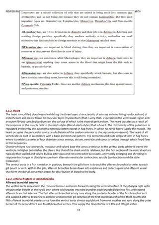 POWER RANGER NOTES ANATOMY OF FINFISH
12
5.1.2. Heart
The heart is modified blood vessel exhibiting the three layers characteristic of arteries an inner lining (endocardium) of
endothelium and elastic tissue on muscular layer (myocardium) that is very thick, especially in the ventricular region and
an outer fibrous tunic (epicardium) on the surface of which is the visceral pericardium. The heart pulsates as a result of
the response of the muscle cells to the electrolytes (Blood electrolytes) that infuse it. The rhythmicity of the pulsations is
regulated by flexly by the autonomic nervous system except in hag fishes, in which no nerve fibers supply the muscle. The
heart occupies the pericardial cavity (a sub division of the coelom anterior to the septum transversem). The heart of all
vertebrates is built in accordance with a basic architectural pattern. It is demonstrated in its simplest form in hag fishes
where its exhibits a series of four chambers sinus venous, atrium, ventricle and conus arterious through which flood flow
in that sequences.
Chondrychthyes has contractile, muscular and valved base the conus arteriosus to the ventral aorta where it leaves the
ventricle. In higher bony fishes the plan is like that of the shark and its relatives, but the first section of the ventral aorta is
typically thin-walled and valved bulbus arteriosus and not contractile but elastic, alternately enlarging and shrinking in
response to changes in blood pressure from alternate ventricular contraction, systole (contraction) and dia stole
(relaxation)
The ventral aorta in a fish is median in position, beneath the gills from its branch the afferent bronchial arteries to each
gill pouch or arch. With in the gills, afferent bronchial break down into capillaries and collect again in to efferent vessel
that form the dorsal aorta main vessel for distribution of blood to the body.
5.2.2. Arterial System in Elasmobranchs
Afferent branchial arteries
The ventral aorta arises form the conus arteriosus and veins forwards along the ventral surface of the pharynx right upto
the posterior border of the hyoid arch where it bifurcates into two branches each branch divide into first and second
afferent branchial arteries. The first afferent branchial artery runs along the posterior border of the first branchial arch
and supplied arterial branches to anterior and posterior gill lamellac of the first branchial arch of the third, fourth and
fifth afferent branchial arteries arise form the ventral aorta almost equidistant from one another and runs along the outer
border of the second third and fourth branchial arches. This supply the blood to the 3rd 4th and 5th gill arches
 