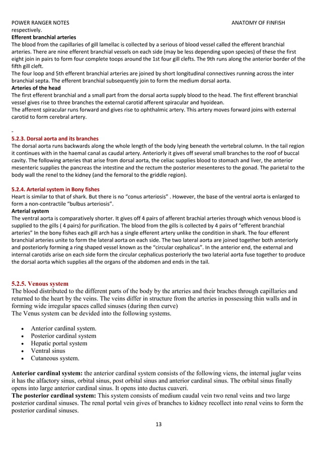 anatomy of finfish ecourse fisheries.docx