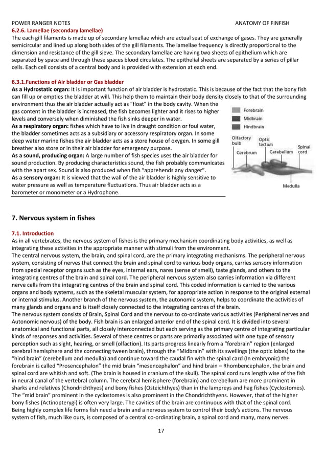 anatomy of finfish ecourse fisheries.docx