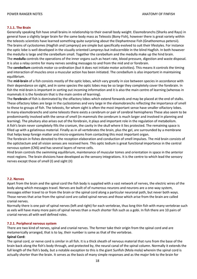 anatomy of finfish ecourse fisheries.docx