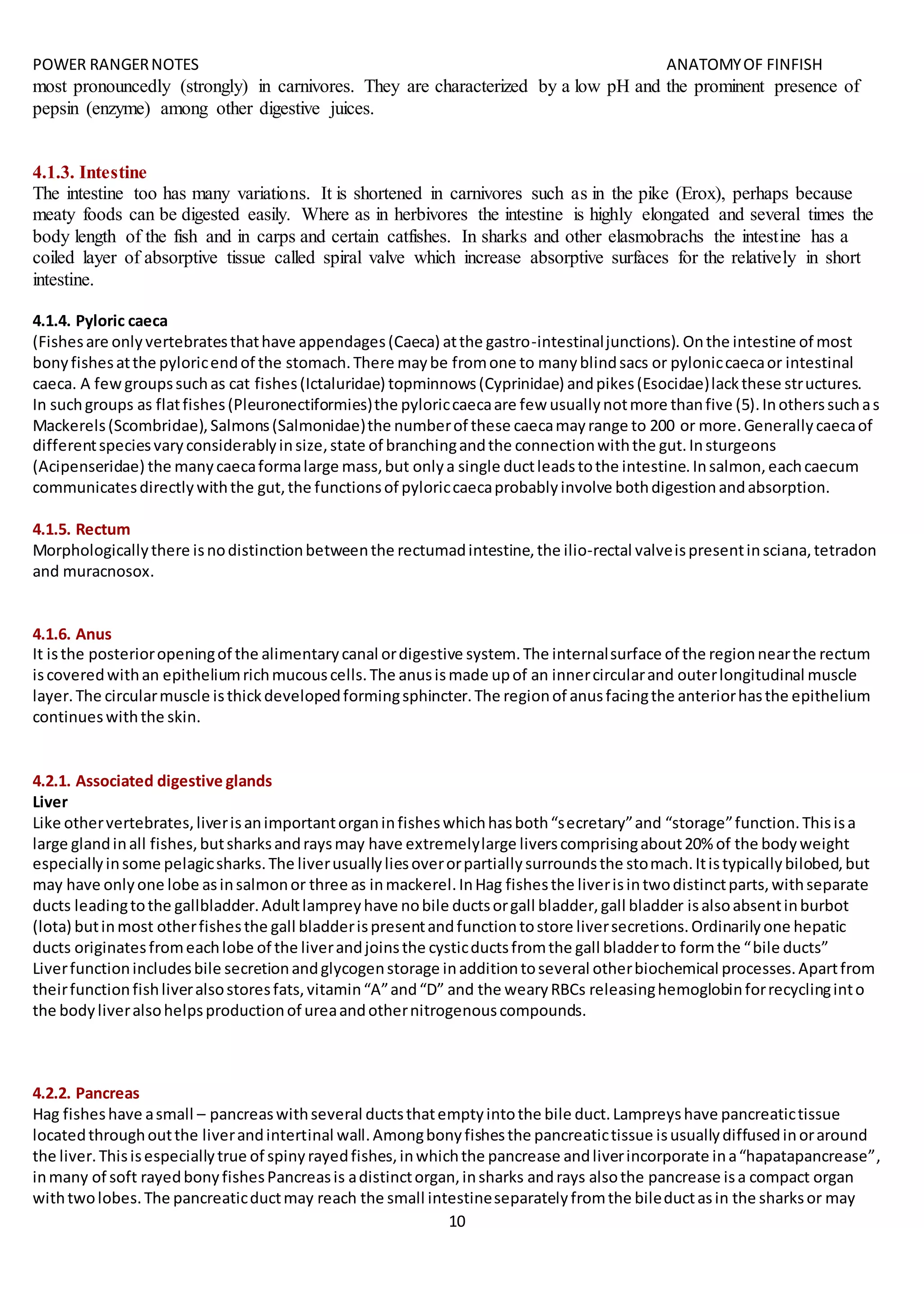 POWER RANGERNOTES ANATOMYOF FINFISH
10
most pronouncedly (strongly) in carnivores. They are characterized by a low pH and the prominent presence of
pepsin (enzyme) among other digestive juices.
4.1.3. Intestine
The intestine too has many variations. It is shortened in carnivores such as in the pike (Erox), perhaps because
meaty foods can be digested easily. Where as in herbivores the intestine is highly elongated and several times the
body length of the fish and in carps and certain catfishes. In sharks and other elasmobrachs the intestine has a
coiled layer of absorptive tissue called spiral valve which increase absorptive surfaces for the relatively in short
intestine.
4.1.4. Pyloric caeca
(Fishesare onlyvertebratesthathave appendages(Caeca) atthe gastro-intestinaljunctions). Onthe intestine of most
bonyfishesatthe pyloricendof the stomach.There maybe fromone to manyblindsacs or pyloniccaecaor intestinal
caeca. A fewgroupssuchas cat fishes(Ictaluridae) topminnows(Cyprinidae) andpikes(Esocidae)lackthese structures.
In suchgroups as flatfishes(Pleuronectiformies)the pyloriccaecaare few usuallynotmore thanfive (5).Inotherssuchas
Mackerels(Scombridae),Salmons(Salmonidae)the numberof these caecamayrange to 200 or more.Generallycaecaof
differentspeciesvaryconsiderablyinsize,state of branchingandthe connectionwiththe gut.Insturgeons
(Acipenseridae) the manycaecaformalarge mass,but onlya single ductleadstothe intestine.Insalmon,eachcaecum
communicatesdirectlywiththe gut,the functionsof pyloriccaecaprobablyinvolve bothdigestionandabsorption.
4.1.5. Rectum
Morphologicallythere isnodistinctionbetweenthe rectumadintestine,the ilio-rectal valveispresentinsciana,tetradon
and muracnosox.
4.1.6. Anus
It isthe posterioropeningof the alimentarycanal ordigestive system.The internalsurface of the regionnearthe rectum
iscoveredwithan epitheliumrichmucouscells.The anusismade upof an innercircularand outerlongitudinal muscle
layer.The circularmuscle isthickdevelopedformingsphincter.The regionof anusfacingthe anteriorhasthe epithelium
continueswiththe skin.
4.2.1. Associated digestive glands
Liver
Like othervertebrates,liverisanimportantorganinfisheswhichhasboth“secretary”and “storage”function.Thisisa
large glandinall fishes,butsharksandraysmay have extremelylarge liverscomprisingabout20% of the bodyweight
especiallyinsome pelagicsharks.The liverusuallyliesoverorpartiallysurroundsthe stomach.Itistypicallybilobed,but
may have onlyone lobe asinsalmonor three as inmackerel.InHag fishesthe liverisintwodistinctparts,withseparate
ducts leadingtothe gallbladder.Adultlampreyhave nobile ductsorgall bladder,gall bladder isalsoabsentinburbot
(lota) butinmost otherfishesthe gall bladderispresentandfunctiontostore liversecretions.Ordinarilyone hepatic
ducts originatesfromeachlobe of the liverandjoinsthe cysticductsfromthe gall bladderto formthe “bile ducts”
Liverfunctionincludesbile secretionandglycogenstorage inadditiontoseveral otherbiochemical processes.Apartfrom
theirfunctionfishliveralsostoresfats,vitamin“A”and“D” and the wearyRBCs releasinghemoglobinforrecyclinginto
the bodyliveralsohelpsproductionof ureaandothernitrogenouscompounds.
4.2.2. Pancreas
Hag fisheshave asmall – pancreaswithseveral ductsthatemptyintothe bile duct.Lampreyshave pancreatictissue
locatedthroughoutthe liverandintertinal wall.Amongbonyfishesthe pancreatictissue isusuallydiffusedinoraround
the liver.Thisisespeciallytrue of spinyrayedfishes,inwhichthe pancrease andliverincorporate ina“hapatapancrease”,
inmany of soft rayedbonyfishesPancreasis adistinctorgan,insharks andrays alsothe pancrease isa compact organ
withtwolobes.The pancreaticductmay reach the small intestineseparatelyfromthe bileductasin the sharksor may
 