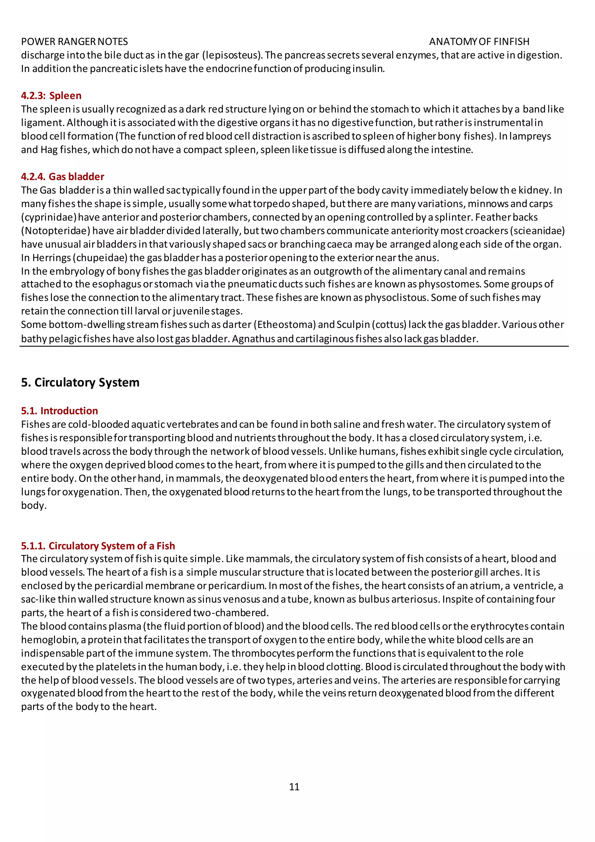 POWER RANGERNOTES ANATOMYOF FINFISH
11
discharge intothe bile ductas inthe gar (lepisosteus).The pancreassecretsseveral enzymes,thatare active indigestion.
In additionthe pancreaticisletshave the endocrinefunctionof producinginsulin.
4.2.3: Spleen
The spleenisusuallyrecognizedasadark redstructure lyingon or behindthe stomachto whichit attachesbya bandlike
ligament.Althoughitisassociatedwiththe digestive organsithasno digestivefunction,butratherisinstrumentalin
bloodcell formation(The functionof redbloodcell distractionisascribedtospleenof higherbony fishes).Inlampreys
and Hag fishes,whichdonothave a compact spleen,spleenliketissue isdiffusedalongthe intestine.
4.2.4. Gas bladder
The Gas bladderisa thinwalledsactypicallyfoundinthe upperpartof the bodycavity immediatelybelow the kidney.In
manyfishesthe shape issimple,usuallysomewhattorpedoshaped,butthere are manyvariations,minnowsandcarps
(cyprinidae)have anteriorandposteriorchambers,connectedbyanopeningcontrolledbyasplinter.Featherbacks
(Notopteridae) have airbladderdividedlaterally,buttwochamberscommunicate anterioritymostcroackers(scieanidae)
have unusual airbladdersinthatvariouslyshapedsacsor branchingcaeca maybe arrangedalongeach side of the organ.
In Herrings(chupeidae) the gasbladderhasaposterioropeningtothe exteriornearthe anus.
In the embryologyof bonyfishesthe gasbladderoriginatesasan outgrowthof the alimentarycanal andremains
attachedto the esophagusorstomach viathe pneumaticductssuch fishesare knownasphysostomes.Some groupsof
fisheslose the connectiontothe alimentarytract.These fishesare knownasphysoclistous.Some of suchfishesmay
retainthe connectiontill larval orjuvenilestages.
Some bottom-dwellingstreamfishessuchasdarter (Etheostoma) andSculpin(cottus) lackthe gasbladder.Variousother
bathypelagicfisheshave alsolostgasbladder.Agnathusandcartilaginousfishesalsolackgasbladder.
5. Circulatory System
5.1. Introduction
Fishesare cold-bloodedaquaticvertebratesandcanbe foundinbothsaline andfreshwater.The circulatorysystemof
fishesisresponsiblefortransportingbloodandnutrientsthroughoutthe body.Ithasa closedcirculatorysystem,i.e.
bloodtravelsacrossthe bodythroughthe networkof bloodvessels.Unlike humans,fishesexhibitsingle cycle circulation,
where the oxygendeprivedbloodcomestothe heart,fromwhere itispumpedtothe gillsandthencirculatedtothe
entire body.Onthe otherhand,inmammals,the deoxygenatedbloodentersthe heart,fromwhere itispumpedintothe
lungsforoxygenation.Then,the oxygenatedbloodreturnstothe heartfromthe lungs,tobe transportedthroughoutthe
body.
5.1.1. Circulatory System of a Fish
The circulatorysystemof fishisquite simple.Like mammals,the circulatorysystemof fishconsistsof aheart,bloodand
bloodvessels.The heartof a fishisa simple muscularstructure thatislocatedbetweenthe posteriorgill arches.Itis
enclosedbythe pericardial membrane orpericardium.Inmostof the fishes,the heartconsistsof anatrium, a ventricle,a
sac-like thinwalledstructure knownassinusvenosusandatube,knownas bulbusarteriosus.Inspite of containingfour
parts,the heartof a fishisconsideredtwo-chambered.
The bloodcontainsplasma(the fluidportionof blood) andthe bloodcells.The redbloodcellsorthe erythrocytescontain
hemoglobin,aproteinthatfacilitatesthe transportof oxygentothe entire body,whilethe white bloodcellsare an
indispensable partof the immune system.The thrombocytesperformthe functionsthatisequivalenttothe role
executedbythe plateletsinthe humanbody,i.e.theyhelpinbloodclotting.Bloodiscirculatedthroughoutthe bodywith
the helpof bloodvessels.The blood vesselsare of twotypes,arteriesandveins.The arteriesare responsibleforcarrying
oxygenatedbloodfromthe hearttothe restof the body,while the veinsreturndeoxygenatedbloodfromthe different
parts of the bodyto the heart.
 