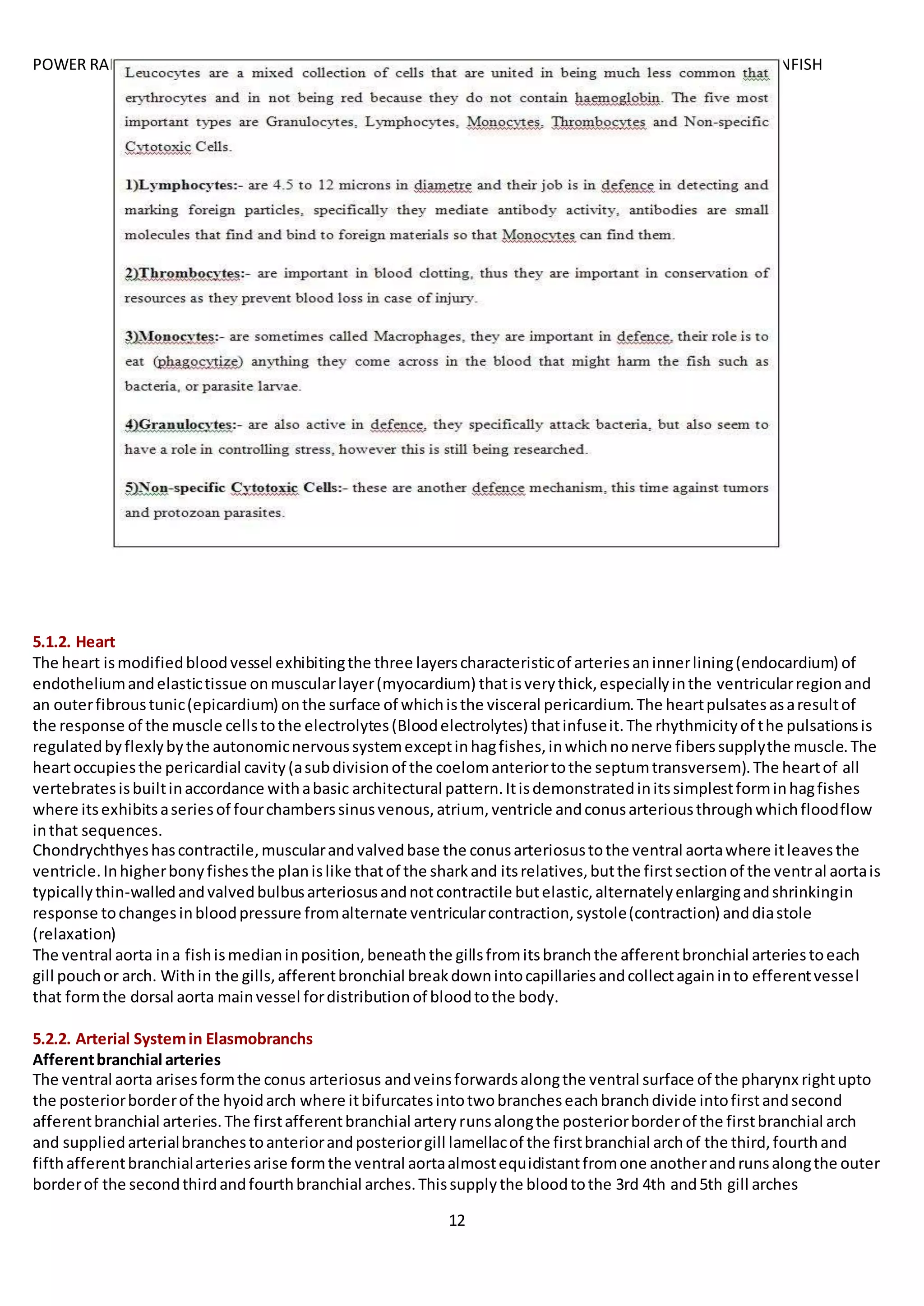 POWER RANGERNOTES ANATOMYOF FINFISH
12
5.1.2. Heart
The heart ismodifiedbloodvessel exhibitingthe three layerscharacteristicof arteriesaninnerlining(endocardium) of
endotheliumandelastictissue onmuscularlayer(myocardium) thatisverythick,especiallyinthe ventricularregionand
an outerfibroustunic(epicardium) onthe surface of whichisthe visceral pericardium.The heartpulsatesasaresultof
the response of the muscle cellstothe electrolytes(Bloodelectrolytes) thatinfuseit.The rhythmicityof the pulsationsis
regulatedbyflexlybythe autonomicnervoussystemexceptinhagfishes,inwhichnonerve fiberssupplythe muscle.The
heartoccupiesthe pericardial cavity(asubdivisionof the coelomanteriortothe septumtransversem).The heartof all
vertebratesisbuiltinaccordance withabasic architectural pattern.Itisdemonstratedinitssimplestforminhagfishes
where itsexhibitsaseriesof fourchamberssinusvenous,atrium, ventricle andconusarteriousthroughwhichfloodflow
inthat sequences.
Chondrychthyeshascontractile,muscularandvalvedbase the conusarteriosustothe ventral aortawhere itleavesthe
ventricle.Inhigherbonyfishesthe planislike thatof the sharkand itsrelatives,butthe firstsectionof the ventral aortais
typicallythin-walledandvalvedbulbusarteriosusandnotcontractile butelastic,alternatelyenlargingandshrinkingin
response tochangesinbloodpressure fromalternate ventricularcontraction,systole(contraction) anddiastole
(relaxation)
The ventral aorta ina fishismedianinposition,beneaththe gillsfromitsbranchthe afferentbronchial arteriestoeach
gill pouchor arch. Within the gills,afferentbronchial breakdownintocapillariesandcollectagaininto efferentvessel
that formthe dorsal aorta mainvessel fordistributionof bloodtothe body.
5.2.2. Arterial Systemin Elasmobranchs
Afferentbranchial arteries
The ventral aorta arisesformthe conus arteriosus andveinsforwardsalongthe ventral surface of the pharynx rightupto
the posteriorborderof the hyoidarch where itbifurcatesintotwobrancheseachbranchdivide intofirstandsecond
afferentbranchial arteries.The firstafferentbranchial arteryrunsalongthe posteriorborderof the firstbranchial arch
and suppliedarterialbranchestoanteriorandposteriorgill lamellacof the firstbranchial archof the third,fourthand
fifthafferentbranchialarteriesarise formthe ventral aortaalmostequidistantfromone anotherandrunsalongthe outer
borderof the secondthirdandfourthbranchial arches.Thissupplythe bloodtothe 3rd 4th and5th gill arches
 
