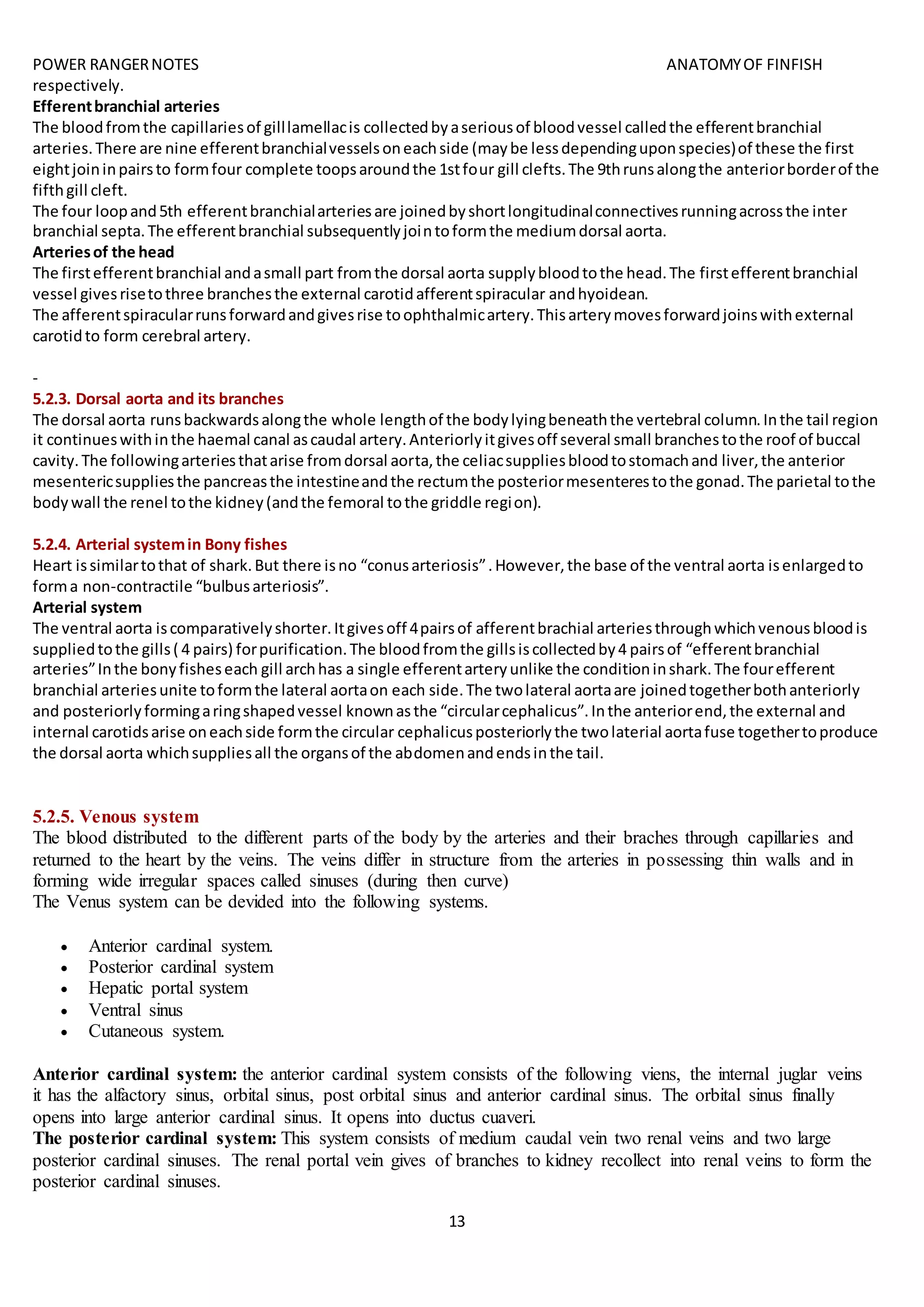 POWER RANGERNOTES ANATOMYOF FINFISH
13
respectively.
Efferentbranchial arteries
The bloodfromthe capillariesof gilllamellacis collectedbyaseriousof bloodvessel calledthe efferentbranchial
arteries.There are nine efferentbranchialvesselsoneachside (maybe lessdependinguponspecies)of these the first
eightjoininpairsto formfour complete toopsaroundthe 1stfour gill clefts.The 9thrunsalongthe anteriorborderof the
fifthgill cleft.
The four loopand5th efferentbranchialarteriesare joinedbyshortlongitudinalconnectivesrunningacrossthe inter
branchial septa.The efferentbranchial subsequentlyjointoformthe mediumdorsal aorta.
Arteriesof the head
The firstefferentbranchial andasmall part fromthe dorsal aorta supplybloodtothe head.The firstefferentbranchial
vessel givesrisetothree branchesthe external carotidafferentspiracular andhyoidean.
The afferentspiracularrunsforwardandgivesrise toophthalmicartery.Thisarterymovesforwardjoinswithexternal
carotidto form cerebral artery.
-
5.2.3. Dorsal aorta and its branches
The dorsal aorta runsbackwardsalongthe whole lengthof the bodylyingbeneaththe vertebral column.Inthe tail region
it continueswithinthe haemal canal ascaudal artery.Anteriorlyitgivesoff several small branchestothe roof of buccal
cavity.The followingarteriesthatarise fromdorsal aorta,the celiacsuppliesbloodtostomachand liver,the anterior
mesentericsuppliesthe pancreasthe intestineandthe rectumthe posteriormesenterestothe gonad.The parietal tothe
bodywall the renel tothe kidney(andthe femoral tothe griddle region).
5.2.4. Arterial systemin Bony fishes
Heart issimilartothat of shark.But there isno “conusarteriosis”.However,the base of the ventral aorta isenlargedto
forma non-contractile “bulbusarteriosis”.
Arterial system
The ventral aorta iscomparativelyshorter.Itgivesoff 4pairsof afferentbrachial arteriesthroughwhichvenousbloodis
suppliedtothe gills( 4 pairs) forpurification.The bloodfromthe gillsiscollectedby4 pairsof “efferentbranchial
arteries”Inthe bonyfisheseach gill archhas a single efferentarteryunlike the conditioninshark.The fourefferent
branchial arteriesunite toformthe lateral aortaon each side.The twolateral aortaare joinedtogetherbothanteriorly
and posteriorlyformingaringshapedvessel knownasthe “circularcephalicus”.Inthe anteriorend,the external and
internal carotidsarise oneachside formthe circular cephalicusposteriorlythe twolaterial aortafuse togethertoproduce
the dorsal aorta whichsuppliesall the organsof the abdomenandendsinthe tail.
5.2.5. Venous system
The blood distributed to the different parts of the body by the arteries and their braches through capillaries and
returned to the heart by the veins. The veins differ in structure from the arteries in possessing thin walls and in
forming wide irregular spaces called sinuses (during then curve)
The Venus system can be devided into the following systems.
 Anterior cardinal system.
 Posterior cardinal system
 Hepatic portal system
 Ventral sinus
 Cutaneous system.
Anterior cardinal system: the anterior cardinal system consists of the following viens, the internal juglar veins
it has the alfactory sinus, orbital sinus, post orbital sinus and anterior cardinal sinus. The orbital sinus finally
opens into large anterior cardinal sinus. It opens into ductus cuaveri.
The posterior cardinal system: This system consists of medium caudal vein two renal veins and two large
posterior cardinal sinuses. The renal portal vein gives of branches to kidney recollect into renal veins to form the
posterior cardinal sinuses.
 