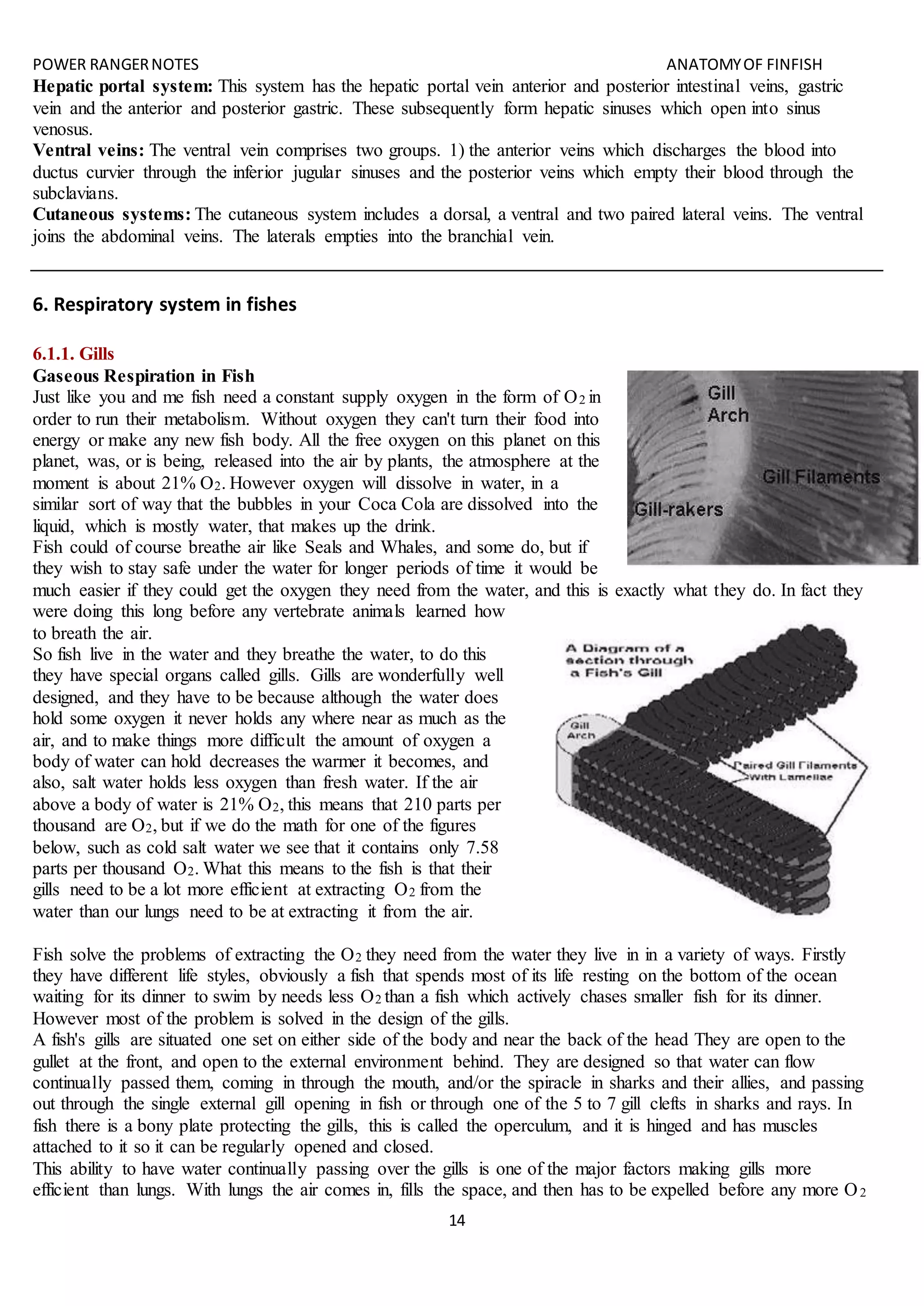 POWER RANGERNOTES ANATOMYOF FINFISH
14
Hepatic portal system: This system has the hepatic portal vein anterior and posterior intestinal veins, gastric
vein and the anterior and posterior gastric. These subsequently form hepatic sinuses which open into sinus
venosus.
Ventral veins: The ventral vein comprises two groups. 1) the anterior veins which discharges the blood into
ductus curvier through the inferior jugular sinuses and the posterior veins which empty their blood through the
subclavians.
Cutaneous systems: The cutaneous system includes a dorsal, a ventral and two paired lateral veins. The ventral
joins the abdominal veins. The laterals empties into the branchial vein.
6. Respiratory system in fishes
6.1.1. Gills
Gaseous Respiration in Fish
Just like you and me fish need a constant supply oxygen in the form of O2 in
order to run their metabolism. Without oxygen they can't turn their food into
energy or make any new fish body. All the free oxygen on this planet on this
planet, was, or is being, released into the air by plants, the atmosphere at the
moment is about 21% O2. However oxygen will dissolve in water, in a
similar sort of way that the bubbles in your Coca Cola are dissolved into the
liquid, which is mostly water, that makes up the drink.
Fish could of course breathe air like Seals and Whales, and some do, but if
they wish to stay safe under the water for longer periods of time it would be
much easier if they could get the oxygen they need from the water, and this is exactly what they do. In fact they
were doing this long before any vertebrate animals learned how
to breath the air.
So fish live in the water and they breathe the water, to do this
they have special organs called gills. Gills are wonderfully well
designed, and they have to be because although the water does
hold some oxygen it never holds any where near as much as the
air, and to make things more difficult the amount of oxygen a
body of water can hold decreases the warmer it becomes, and
also, salt water holds less oxygen than fresh water. If the air
above a body of water is 21% O2, this means that 210 parts per
thousand are O2, but if we do the math for one of the figures
below, such as cold salt water we see that it contains only 7.58
parts per thousand O2. What this means to the fish is that their
gills need to be a lot more efficient at extracting O2 from the
water than our lungs need to be at extracting it from the air.
Fish solve the problems of extracting the O2 they need from the water they live in in a variety of ways. Firstly
they have different life styles, obviously a fish that spends most of its life resting on the bottom of the ocean
waiting for its dinner to swim by needs less O2 than a fish which actively chases smaller fish for its dinner.
However most of the problem is solved in the design of the gills.
A fish's gills are situated one set on either side of the body and near the back of the head They are open to the
gullet at the front, and open to the external environment behind. They are designed so that water can flow
continually passed them, coming in through the mouth, and/or the spiracle in sharks and their allies, and passing
out through the single external gill opening in fish or through one of the 5 to 7 gill clefts in sharks and rays. In
fish there is a bony plate protecting the gills, this is called the operculum, and it is hinged and has muscles
attached to it so it can be regularly opened and closed.
This ability to have water continually passing over the gills is one of the major factors making gills more
efficient than lungs. With lungs the air comes in, fills the space, and then has to be expelled before any more O2
 