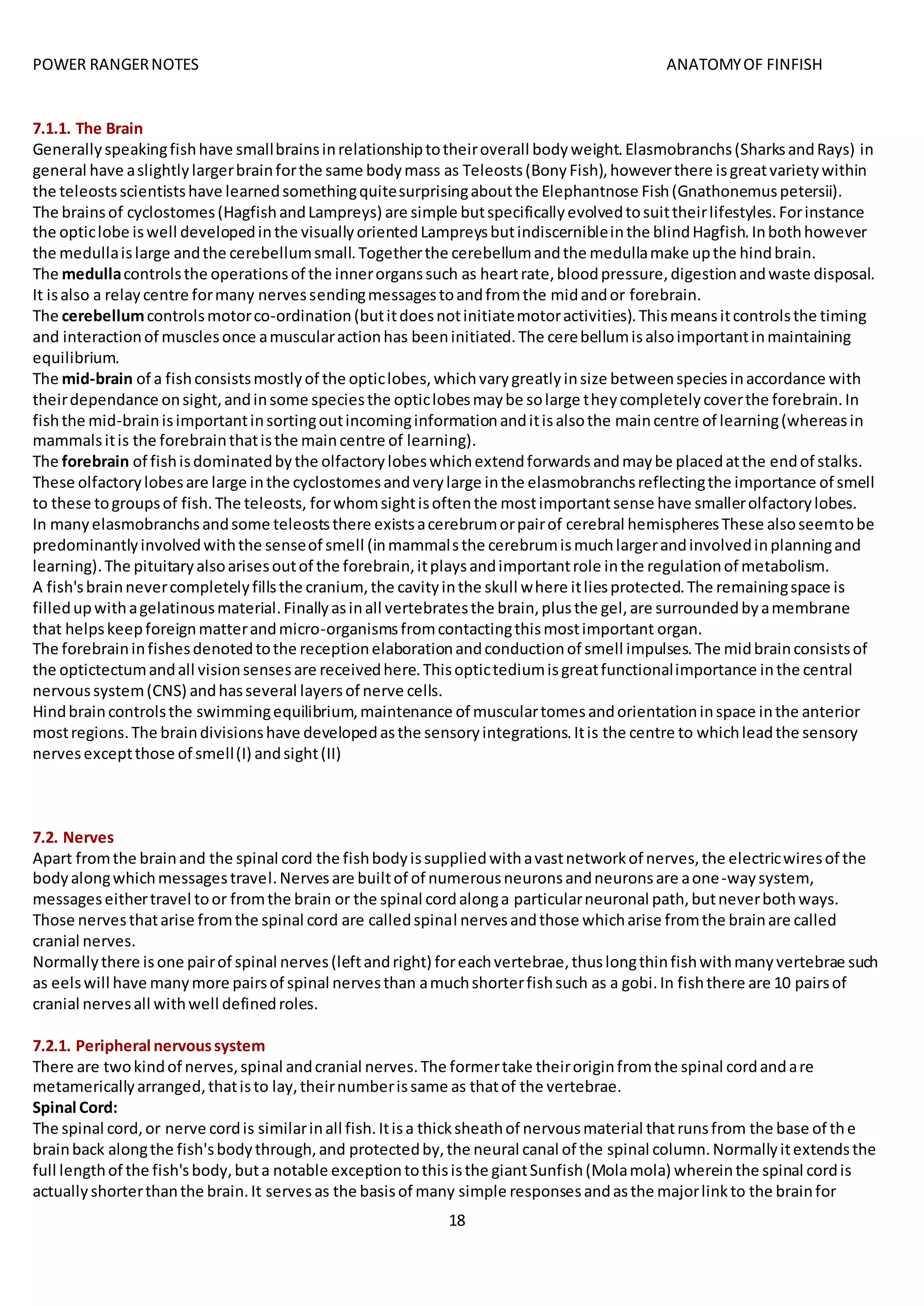 POWER RANGERNOTES ANATOMYOF FINFISH
18
7.1.1. The Brain
Generallyspeakingfishhave smallbrainsinrelationshiptotheiroverall bodyweight.Elasmobranchs(SharksandRays) in
general have aslightlylargerbrainforthe same bodymass as Teleosts(BonyFish),howeverthere isgreatvarietywithin
the teleostsscientistshave learnedsomethingquitesurprisingaboutthe Elephantnose Fish(Gnathonemuspetersii).
The brainsof cyclostomes(HagfishandLampreys) are simple butspecificallyevolvedtosuittheirlifestyles.Forinstance
the opticlobe iswell developedinthe visuallyorientedLampreysbutindiscernibleinthe blindHagfish.Inbothhowever
the medullaislarge andthe cerebellumsmall.Togetherthe cerebellumandthe medullamake upthe hindbrain.
The medullacontrolsthe operationsof the innerorganssuch as heartrate,bloodpressure,digestionandwaste disposal.
It isalso a relaycentre formany nervessendingmessagestoandfromthe midandor forebrain.
The cerebellumcontrolsmotorco-ordination(butitdoesnotinitiatemotoractivities).Thismeansitcontrolsthe timing
and interactionof musclesonce amuscularactionhas beeninitiated.The cerebellumisalsoimportantinmaintaining
equilibrium.
The mid-brain of a fishconsistsmostlyof the opticlobes,whichvarygreatlyinsize betweenspeciesinaccordance with
theirdependance onsight,andinsome speciesthe opticlobesmaybe solarge theycompletelycoverthe forebrain.In
fishthe mid-brainisimportantinsortingoutincominginformationanditisalsothe maincentre of learning(whereasin
mammalsitis the forebrainthatisthe maincentre of learning).
The forebrain of fishisdominatedbythe olfactorylobeswhichextendforwardsandmaybe placedatthe endof stalks.
These olfactorylobesare large inthe cyclostomesandverylarge inthe elasmobranchsreflectingthe importance of smell
to these togroupsof fish.The teleosts, forwhomsightisoftenthe mostimportantsense have smallerolfactorylobes.
In manyelasmobranchsandsome teleoststhere existsacerebrumorpairof cerebral hemispheresThese alsoseemtobe
predominantlyinvolvedwiththe senseof smell (inmammalsthe cerebrumismuchlargerandinvolvedinplanningand
learning).The pituitaryalsoarisesoutof the forebrain,itplaysandimportantrole inthe regulationof metabolism.
A fish'sbrainnevercompletelyfillsthe cranium,the cavityinthe skull where itliesprotected.The remainingspace is
filledupwithagelatinousmaterial.Finallyasinall vertebratesthe brain,plusthe gel,are surroundedbyamembrane
that helpskeepforeignmatterandmicro-organismsfromcontactingthismostimportant organ.
The forebraininfishesdenotedtothe receptionelaborationandconductionof smell impulses.The midbrainconsistsof
the optictectumandall visionsensesare receivedhere.Thisoptictediumisgreatfunctionalimportance inthe central
nervoussystem(CNS) andhasseveral layersof nerve cells.
Hindbraincontrolsthe swimmingequilibrium,maintenance of musculartomesandorientationinspace inthe anterior
mostregions.The braindivisionshave developedasthe sensoryintegrations.Itis the centre to whichleadthe sensory
nervesexceptthose of smell(I) andsight(II)
7.2. Nerves
Apart fromthe brainand the spinal cord the fishbodyissuppliedwithavastnetworkof nerves,the electricwiresof the
bodyalongwhichmessagestravel.Nervesare builtof of numerousneuronsandneuronsare aone-waysystem,
messageseithertravel toor fromthe brain or the spinal cordalonga particularneuronal path,butneverbothways.
Those nervesthatarise fromthe spinal cord are calledspinal nervesandthose whicharise fromthe brainare called
cranial nerves.
Normallythere isone pairof spinal nerves(leftandright) foreachvertebrae,thuslongthinfishwithmanyvertebrae such
as eelswill have manymore pairsof spinal nervesthan amuchshorterfishsuch as a gobi.In fishthere are 10 pairsof
cranial nervesall withwell definedroles.
7.2.1. Peripheral nervoussystem
There are twokindof nerves,spinal andcranial nerves.The formertake theiroriginfromthe spinal cordandare
metamericallyarranged,thatisto lay,theirnumberissame as thatof the vertebrae.
Spinal Cord:
The spinal cord,or nerve cordis similarinall fish.Itisa thicksheathof nervousmaterial thatrunsfrom the base of the
brainback alongthe fish'sbodythrough,and protectedby,the neural canal of the spinal column.Normallyitextendsthe
full lengthof the fish'sbody,buta notable exceptiontothisisthe giantSunfish(Molamola) whereinthe spinal cordis
actuallyshorterthanthe brain.It servesas the basisof many simple responsesandasthe majorlinkto the brainfor
 