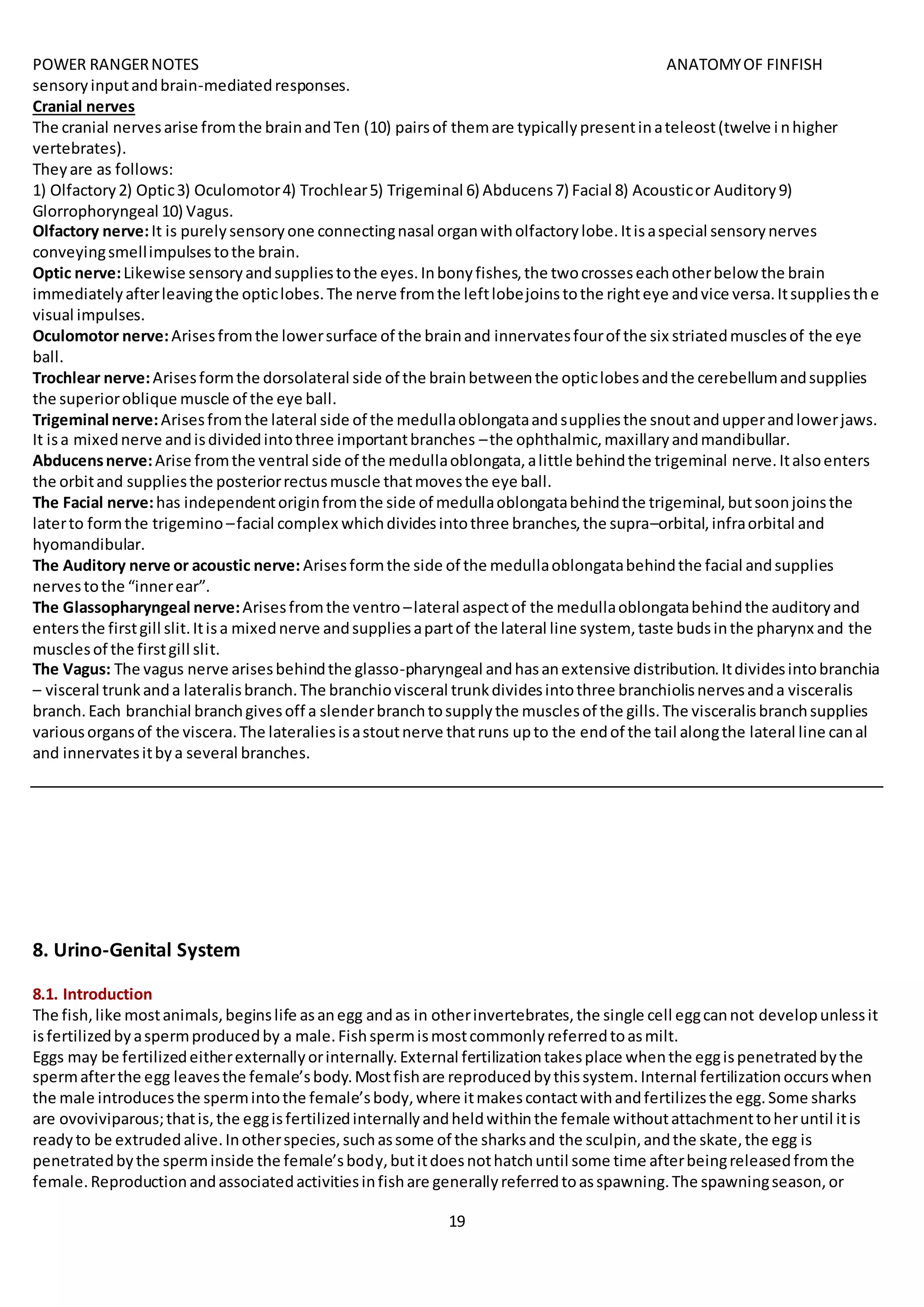 POWER RANGERNOTES ANATOMYOF FINFISH
19
sensoryinputandbrain-mediatedresponses.
Cranial nerves
The cranial nervesarise fromthe brainandTen (10) pairsof themare typicallypresentinateleost(twelve i nhigher
vertebrates).
Theyare as follows:
1) Olfactory2) Optic3) Oculomotor4) Trochlear5) Trigeminal 6) Abducens7) Facial 8) Acousticor Auditory9)
Glorrophoryngeal 10) Vagus.
Olfactory nerve:It is purelysensoryone connectingnasal organwitholfactorylobe.Itisaspecial sensorynerves
conveyingsmellimpulsestothe brain.
Optic nerve:Likewise sensoryandsuppliestothe eyes.Inbonyfishes,the twocrosseseachotherbelow the brain
immediatelyafterleavingthe opticlobes.The nerve fromthe leftlobejoinstothe righteye andvice versa.Itsuppliesthe
visual impulses.
Oculomotor nerve:Arisesfromthe lowersurface of the brainand innervatesfourof the six striatedmusclesof the eye
ball.
Trochlear nerve:Arisesformthe dorsolateral side of the brainbetweenthe opticlobesandthe cerebellumandsupplies
the superioroblique muscle of the eye ball.
Trigeminal nerve:Arisesfromthe lateral side of the medullaoblongataandsuppliesthe snoutandupperandlowerjaws.
It isa mixednerve andisdividedintothree importantbranches –the ophthalmic,maxillaryandmandibullar.
Abducensnerve:Arise fromthe ventral side of the medullaoblongata,alittle behindthe trigeminal nerve.Italsoenters
the orbitand suppliesthe posteriorrectusmuscle thatmovesthe eye ball.
The Facial nerve:has independentoriginfromthe side of medullaoblongatabehindthe trigeminal,butsoonjoinsthe
laterto formthe trigemino –facial complex whichdividesintothree branches,the supra–orbital,infraorbital and
hyomandibular.
The Auditory nerve or acoustic nerve: Arisesformthe side of the medullaoblongatabehindthe facial andsupplies
nervestothe “innerear”.
The Glassopharyngeal nerve:Arisesfromthe ventro –lateral aspectof the medullaoblongatabehindthe auditoryand
entersthe firstgill slit.Itisa mixednerve andsuppliesapartof the lateral line system, taste budsinthe pharynx and the
musclesof the firstgill slit.
The Vagus: The vagus nerve arisesbehindthe glasso-pharyngeal andhasanextensive distribution.Itdividesintobranchia
– visceral trunkanda lateralisbranch.The branchiovisceral trunkdividesintothree branchiolisnervesanda visceralis
branch.Each branchial branchgivesoff a slenderbranchtosupplythe musclesof the gills.The visceralisbranchsupplies
variousorgansof the viscera.The lateraliesisastoutnerve thatruns upto the endof the tail alongthe lateral line canal
and innervatesitbya several branches.
8. Urino-Genital System
8.1. Introduction
The fish,like mostanimals,beginslife asanegg andas in otherinvertebrates,the single cell eggcannot developunlessit
isfertilizedbyaspermproducedby a male.Fishspermismostcommonlyreferredtoasmilt.
Eggs may be fertilizedeitherexternallyorinternally.External fertilizationtakesplace whenthe eggispenetratedbythe
spermafterthe egg leavesthe female’sbody.Mostfishare reproducedbythissystem.Internal fertilizationoccurswhen
the male introducesthe spermintothe female’sbody,where itmakescontactwithandfertilizesthe egg.Some sharks
are ovoviviparous;thatis,the eggisfertilizedinternallyandheldwithinthe female withoutattachmenttoheruntil itis
readyto be extrudedalive.Inotherspecies,suchassome of the sharksand the sculpin,andthe skate,the egg is
penetratedbythe sperminside the female’sbody,butitdoesnothatchuntil some time afterbeingreleasedfromthe
female.Reproductionandassociatedactivitiesinfishare generallyreferredtoasspawning.The spawningseason,or
 