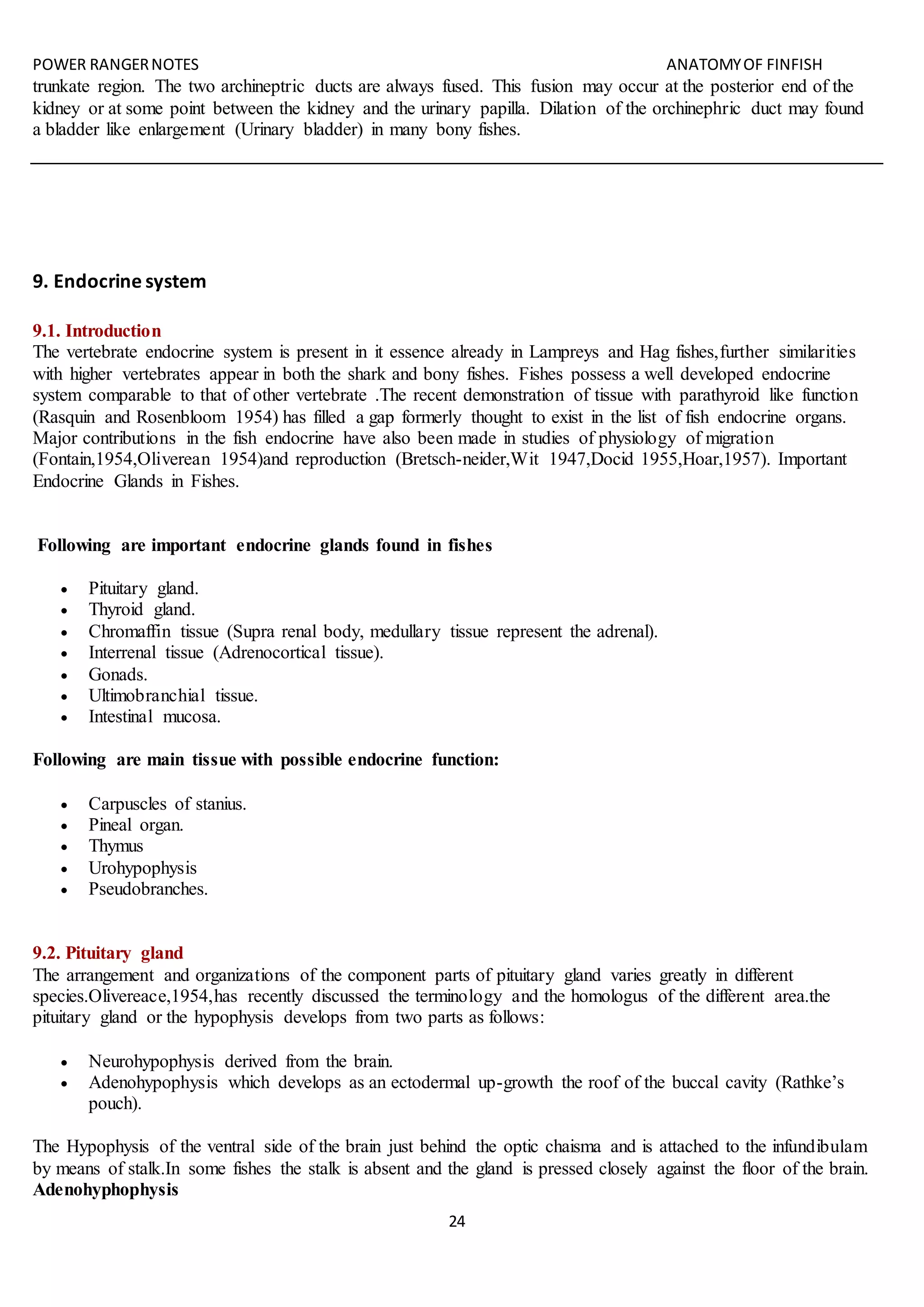 POWER RANGERNOTES ANATOMYOF FINFISH
24
trunkate region. The two archineptric ducts are always fused. This fusion may occur at the posterior end of the
kidney or at some point between the kidney and the urinary papilla. Dilation of the orchinephric duct may found
a bladder like enlargement (Urinary bladder) in many bony fishes.
9. Endocrine system
9.1. Introduction
The vertebrate endocrine system is present in it essence already in Lampreys and Hag fishes,further similarities
with higher vertebrates appear in both the shark and bony fishes. Fishes possess a well developed endocrine
system comparable to that of other vertebrate .The recent demonstration of tissue with parathyroid like function
(Rasquin and Rosenbloom 1954) has filled a gap formerly thought to exist in the list of fish endocrine organs.
Major contributions in the fish endocrine have also been made in studies of physiology of migration
(Fontain,1954,Oliverean 1954)and reproduction (Bretsch-neider,Wit 1947,Docid 1955,Hoar,1957). Important
Endocrine Glands in Fishes.
Following are important endocrine glands found in fishes
 Pituitary gland.
 Thyroid gland.
 Chromaffin tissue (Supra renal body, medullary tissue represent the adrenal).
 Interrenal tissue (Adrenocortical tissue).
 Gonads.
 Ultimobranchial tissue.
 Intestinal mucosa.
Following are main tissue with possible endocrine function:
 Carpuscles of stanius.
 Pineal organ.
 Thymus
 Urohypophysis
 Pseudobranches.
9.2. Pituitary gland
The arrangement and organizations of the component parts of pituitary gland varies greatly in different
species.Olivereace,1954,has recently discussed the terminology and the homologus of the different area.the
pituitary gland or the hypophysis develops from two parts as follows:
 Neurohypophysis derived from the brain.
 Adenohypophysis which develops as an ectodermal up-growth the roof of the buccal cavity (Rathke’s
pouch).
The Hypophysis of the ventral side of the brain just behind the optic chaisma and is attached to the infundibulam
by means of stalk.In some fishes the stalk is absent and the gland is pressed closely against the floor of the brain.
Adenohyphophysis
 
