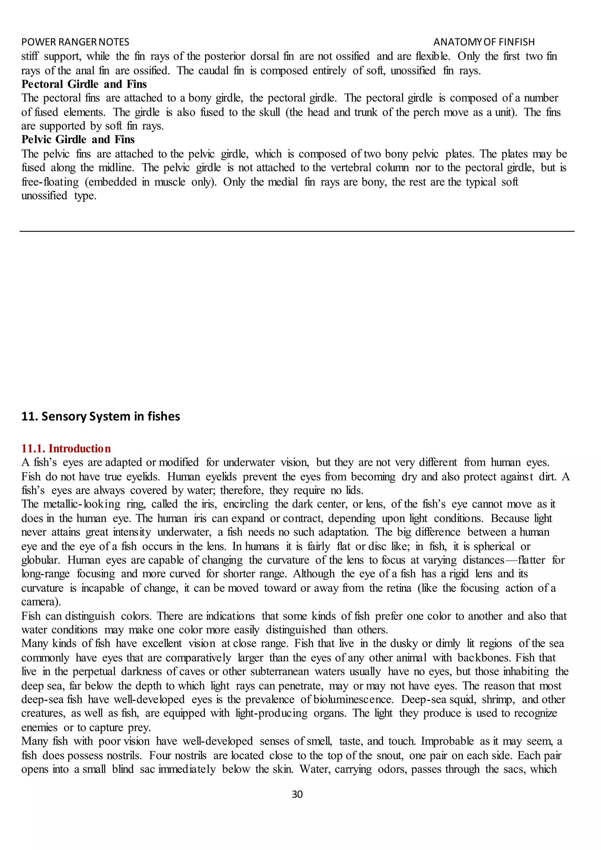 POWER RANGERNOTES ANATOMYOF FINFISH
30
stiff support, while the fin rays of the posterior dorsal fin are not ossified and are flexible. Only the first two fin
rays of the anal fin are ossified. The caudal fin is composed entirely of soft, unossified fin rays.
Pectoral Girdle and Fins
The pectoral fins are attached to a bony girdle, the pectoral girdle. The pectoral girdle is composed of a number
of fused elements. The girdle is also fused to the skull (the head and trunk of the perch move as a unit). The fins
are supported by soft fin rays.
Pelvic Girdle and Fins
The pelvic fins are attached to the pelvic girdle, which is composed of two bony pelvic plates. The plates may be
fused along the midline. The pelvic girdle is not attached to the vertebral column nor to the pectoral girdle, but is
free-floating (embedded in muscle only). Only the medial fin rays are bony, the rest are the typical soft
unossified type.
11. Sensory System in fishes
11.1. Introduction
A fish’s eyes are adapted or modified for underwater vision, but they are not very different from human eyes.
Fish do not have true eyelids. Human eyelids prevent the eyes from becoming dry and also protect against dirt. A
fish’s eyes are always covered by water; therefore, they require no lids.
The metallic-looking ring, called the iris, encircling the dark center, or lens, of the fish’s eye cannot move as it
does in the human eye. The human iris can expand or contract, depending upon light conditions. Because light
never attains great intensity underwater, a fish needs no such adaptation. The big difference between a human
eye and the eye of a fish occurs in the lens. In humans it is fairly flat or disc like; in fish, it is spherical or
globular. Human eyes are capable of changing the curvature of the lens to focus at varying distances—flatter for
long-range focusing and more curved for shorter range. Although the eye of a fish has a rigid lens and its
curvature is incapable of change, it can be moved toward or away from the retina (like the focusing action of a
camera).
Fish can distinguish colors. There are indications that some kinds of fish prefer one color to another and also that
water conditions may make one color more easily distinguished than others.
Many kinds of fish have excellent vision at close range. Fish that live in the dusky or dimly lit regions of the sea
commonly have eyes that are comparatively larger than the eyes of any other animal with backbones. Fish that
live in the perpetual darkness of caves or other subterranean waters usually have no eyes, but those inhabiting the
deep sea, far below the depth to which light rays can penetrate, may or may not have eyes. The reason that most
deep-sea fish have well-developed eyes is the prevalence of bioluminescence. Deep-sea squid, shrimp, and other
creatures, as well as fish, are equipped with light-producing organs. The light they produce is used to recognize
enemies or to capture prey.
Many fish with poor vision have well-developed senses of smell, taste, and touch. Improbable as it may seem, a
fish does possess nostrils. Four nostrils are located close to the top of the snout, one pair on each side. Each pair
opens into a small blind sac immediately below the skin. Water, carrying odors, passes through the sacs, which
 