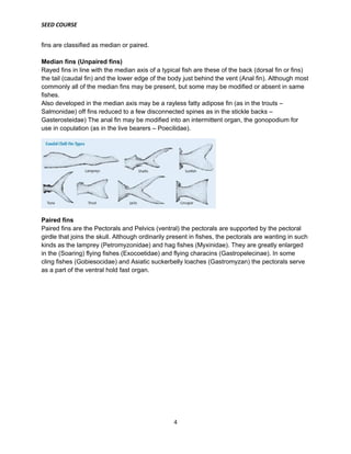 SEED COURSE
4
fins are classified as median or paired.
Median fins (Unpaired fins)
Rayed fins in line with the median axis of a typical fish are these of the back (dorsal fin or fins)
the tail (caudal fin) and the lower edge of the body just behind the vent (Anal fin). Although most
commonly all of the median fins may be present, but some may be modified or absent in same
fishes.
Also developed in the median axis may be a rayless fatty adipose fin (as in the trouts –
Salmonidae) off fins reduced to a few disconnected spines as in the stickle backs –
Gasterosteidae) The anal fin may be modified into an intermittent organ, the gonopodium for
use in copulation (as in the live bearers – Poecilidae).
Paired fins
Paired fins are the Pectorals and Pelvics (ventral) the pectorals are supported by the pectoral
girdle that joins the skull. Although ordinarily present in fishes, the pectorals are wanting in such
kinds as the lamprey (Petromyzonidae) and hag fishes (Myxinidae). They are greatly enlarged
in the (Soaring) flying fishes (Exocoetidae) and flying characins (Gastropelecinae). In some
cling fishes (Gobiesocidae) and Asiatic suckerbelly loaches (Gastromyzan) the pectorals serve
as a part of the ventral hold fast organ.
 