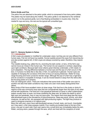 SEED COURSE
48
Pelvic Girdle and Fins
The pelvic fins are attached to the pelvic girdle, which is composed of two bony pelvic plates.
The plates may be fused along the midline. The pelvic girdle is not attached to the vertebral
column nor to the pectoral girdle, but is free-floating (embedded in muscle only). Only the
medial fin rays are bony, the rest are the typical soft unossified type.
Unit 11 - Sensory System in fishes
11.1. Introduction
A fish’s eyes are adapted or modified for underwater vision, but they are not very different from
human eyes. Fish do not have true eyelids. Human eyelids prevent the eyes from becoming dry
and also protect against dirt. A fish’s eyes are always covered by water; therefore, they require
no lids.
The metallic-looking ring, called the iris, encircling the dark center, or lens, of the fish’s eye
cannot move as it does in the human eye. The human iris can expand or contract, depending
upon light conditions. Because light never attains great intensity underwater, a fish needs no
such adaptation. The big difference between a human eye and the eye of a fish occurs in the
lens. In humans it is fairly flat or disc like; in fish, it is spherical or globular. Human eyes are
capable of changing the curvature of the lens to focus at varying distances—flatter for long-
range focusing and more curved for shorter range. Although the eye of a fish has a rigid lens
and its curvature is incapable of change, it can be moved toward or away from the retina (like
the focusing action of a camera).
Fish can distinguish colors. There are indications that some kinds of fish prefer one color to
another and also that water conditions may make one color more easily distinguished than
others.
Many kinds of fish have excellent vision at close range. Fish that live in the dusky or dimly lit
regions of the sea commonly have eyes that are comparatively larger than the eyes of any other
animal with backbones. Fish that live in the perpetual darkness of caves or other subterranean
waters usually have no eyes, but those inhabiting the deep sea, far below the depth to which
light rays can penetrate, may or may not have eyes. The reason that most deep-sea fish have
well-developed eyes is the prevalence of bioluminescence. Deep-sea squid, shrimp, and other
creatures, as well as fish, are equipped with light-producing organs. The light they produce is
used to recognize enemies or to capture prey.
Many fish with poor vision have well-developed senses of smell, taste, and touch. Improbable
as it may seem, a fish does possess nostrils. Four nostrils are located close to the top of the
snout, one pair on each side. Each pair opens into a small blind sac immediately below the skin.
Water, carrying odors, passes through the sacs, which are lined with the receptors of smell.
 