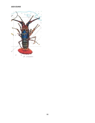 SEED COURSE
66
 