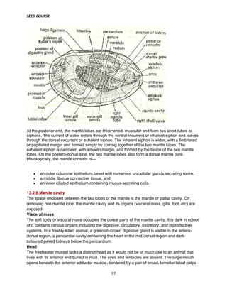 SEED COURSE
97
At the posterior end, the mantle lobes are thick¬ened, muscular and form two short tubes or
siphons. The current of water enters through the ventral incurrent or inhalent siphon and leaves
through the dorsal excurrent or exhalent siphon. The inhalent siphon is wider, with a fimbriated
or papillated margin and formed simply by coming together of the two mantle lobes. The
exhalent siphon is narrower, with smooth margin, and formed by the fusion of the two mantle
lobes. On the postero-dorsal side, the two mantle lobes also form a dorsal mantle pore.
Histologically, the mantle consists of—
 an outer columnar epithelium beset with numerous unicellular glands secreting nacre,
 a middle fibrous connective tissue, and
 an inner ciliated epithelium containing mucus-secreting cells.
13.2.6.Mantle cavity
The space enclosed between the two lobes of the mantle is the mantle or pallial cavity. On
removing one mantle lobe, the mantle cavity and its organs (visceral mass, gills, foot, etc) are
exposed.
Visceral mass
The soft body or visceral mass occupies the dorsal parts of the mantle cavity. It is dark in colour
and contains various organs including the digestive, circulatory, excretory, and reproductive
systems. In a freshly-killed animal, a greenish-brown digestive gland is visible in the antero-
dorsal region, a pericardial cavity containing the heart in the mid-dorsal region and dark-
coloured paired kidneys below the pericardium.
Head
The freshwater mussel lacks a distinct head as it would not be of much use to an animal that
lives with its anterior end buried in mud. The eyes and tentacles are absent. The large mouth
opens beneath the anterior adductor muscle, bordered by a pair of broad, lamellar labial palps
 