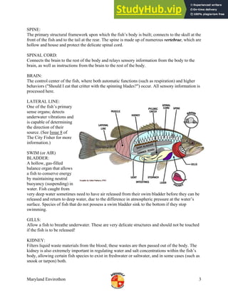 ANATOMY OF FISH | PDF