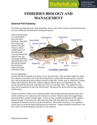 FISHERIES BIOLOGY AND
MANAGEMENT
External Fish Anatomy
The following illustration of a largemouth bass shows some of the common external features that
are used to describe the differences among fish species.
Fish are animals that
are cold-blooded,
have fins and a
backbone. Most fish
have scales and
breathe with gills.
There are about
22,000 species of
fish that began
evolving around 480
million years ago.
The largemouth b
illustrated above
the typical torp
like (fusiform)
shape associated
with many fishes
ass
has
edo-
.
Fins are appendages
g
used by the fish to maintain its position, move, steer and stop. They are either single fins alon
the centerline of the fish, such as the dorsal (back) fins, caudal (tail) fin and anal fin, or paired
fins, which include the pectoral (chest) and pelvic (hip) fins. Fishes such as catfish have another
fleshy lobe behind the dorsal fin, called an adipose (fat) fin that is not illustrated here. The
dorsal and anal fins primarily help fish to not roll over onto their sides. The caudal fin is the
main fin for propulsion to move the fish forward. The paired fins assist with steering, stopping
and hovering.
Scales in most bony fishes (most freshwater fishes other than gar that have ganoid scales, and
catfish which have no scales) are either ctenoid or cycloid. Ctenoid scales have jagged edges
and cycloid have smooth rounded edges. Ctenii are tiny, comblike projections on the exposed
(posterior) edge of ctenoid scales. Bass and most other fish with spines have ctenoid scales
composed of connective tissue covered with calcium. Most fishes also have a very important
mucus layer covering the body that helps prevent infection. Anglers should be careful not to rub
this "slime" off when handling a fish that is to be released.
Maryland Envirothon 1
 