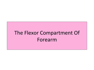 The Flexor Compartment Of
Forearm
 